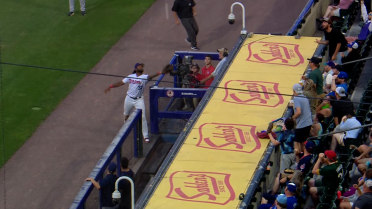Rainer Nunez Catch over the Dugout