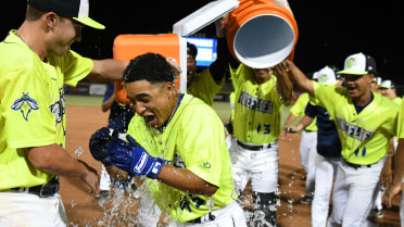 Fireflies Surge Past Pelicans 7-6 in 10 Innings 