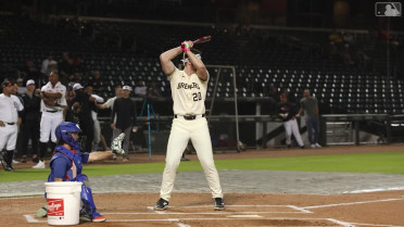 Luke Adams' preliminary round of Fall League HR Derby