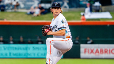 Nelson Homers In Ninth, Sugar Land Falls To Albuquerque