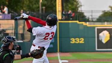 Loons Strikeout 15 Dragons in 7-0 Shutout Victory