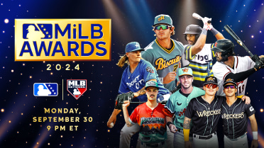 Check out the finalists for the 2024 MiLB Awards Show