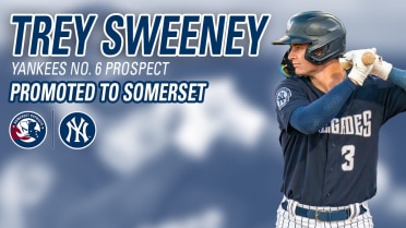 Yankees Promote No. 6 Prospect Trey Sweeney To Double-A Somerset