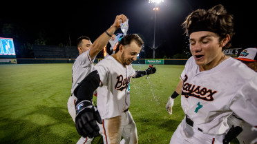 Baysox win sixth straight on Young’s walk-off sac fly