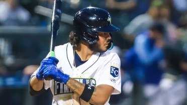 Fireflies Give Up 5 Unearned in 10-9 Loss