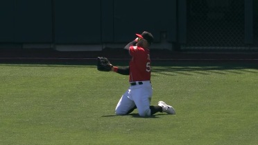 Preston Tucker lays out for a beautiful diving grab