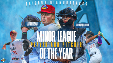 Virahonda, Hagaman Named Diamondbacks Minor League Player and Pitcher of the Year