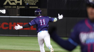 Fischer’s Walkoff Home Run in Tenth is the Winner for Wisconsin