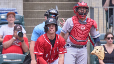 Travs Pound 'Poodles For Series Win