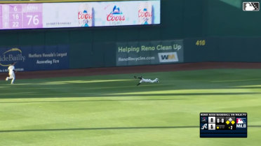 Blaze Alexander's diving catch