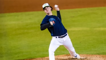 Five-Run First Pushes Fireflies to Victory 