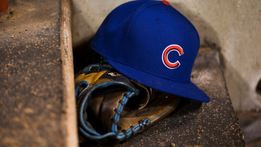 DSL Cubs' Mosquea suspended 54 games