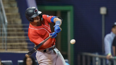 Fisher Cats homer and hang on for series win