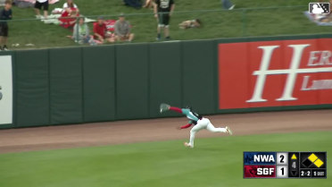 Bryan Torres' incredible diving catch