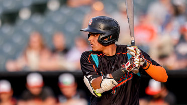 Walk-off homer downs Baysox on Thursday night