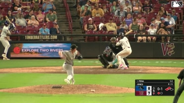 Luis Peña singles on a line drive to right fielder Erick Torres. Luis Castillo scores. Yannic Walther to 3rd.