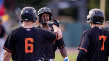 Bradfield homers in return to lineup as Baysox fall to Erie