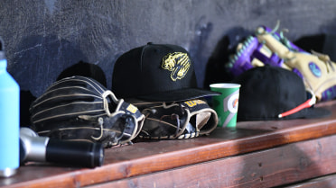 Grizzlies Season Ends Despite Late Rally