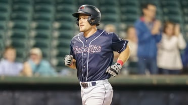 Fisher Cats grab series finale over Reading