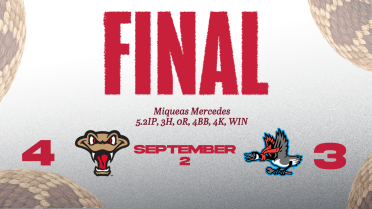 Mercedes Shines in Rattlers Debut