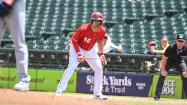 Bats Fall to Sounds in Back-and-Forth Affair