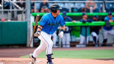 Matthew Ellis homers (15) on a fly ball to left field. Ricardo Cova scores.