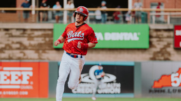 Bats Swept in Doubleheader Against St. Paul