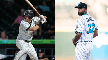 Knights Sweep International League Weekly Awards