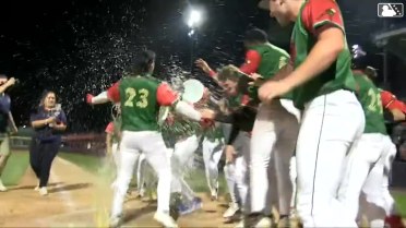 Jacob Reimer's walk-off home run