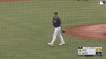 Rays prospect Logan Workman's third K