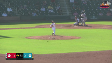 John Peck singles on a ground ball to right fielder Jared Thomas. Luke Davis scores. Dalton Wentz to 2nd.