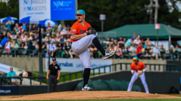 Rodon Impresses in Somerset's First Half Finale Loss