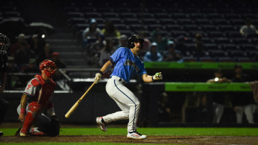 April 22: Hartle, Ducks even series with Baysox, 8-4