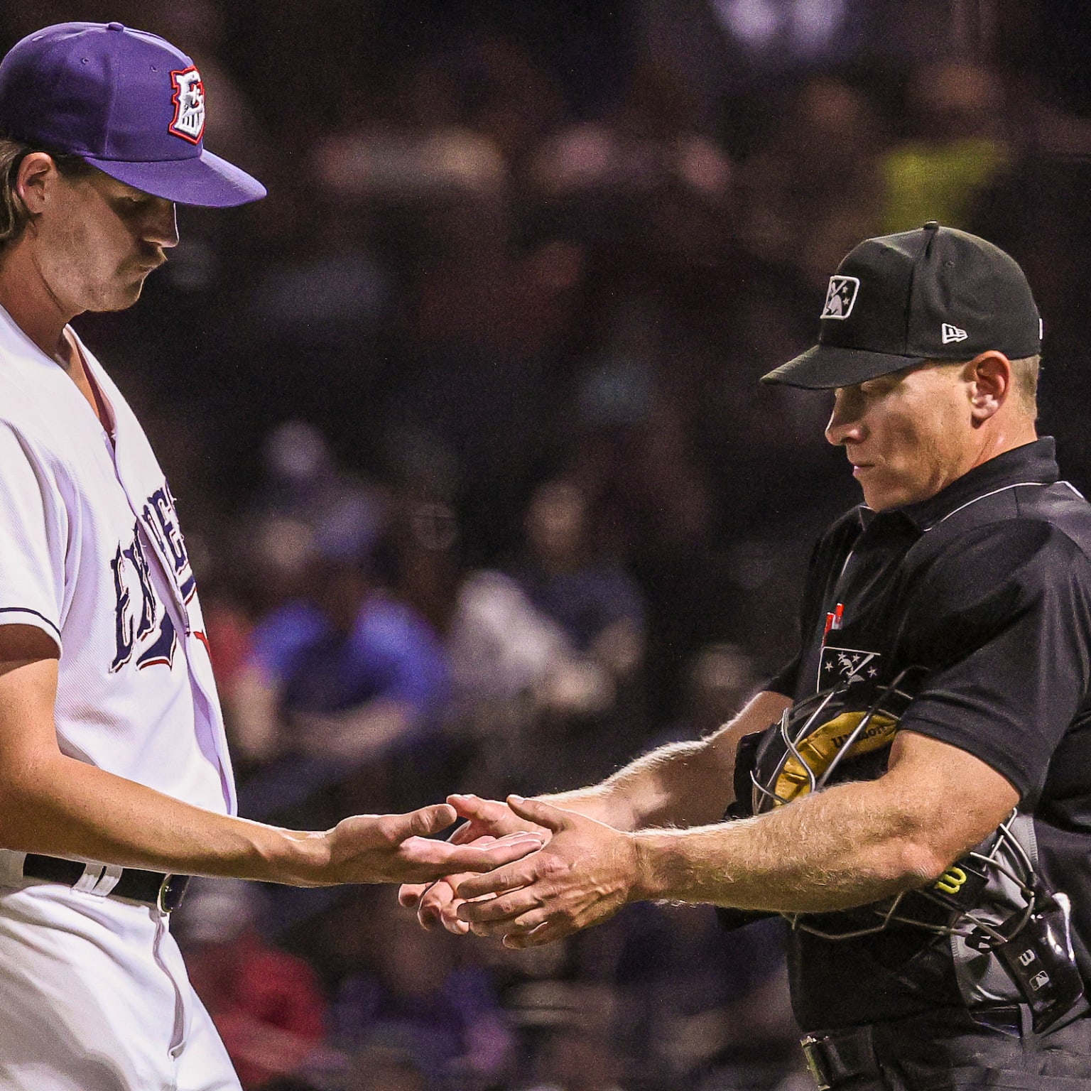 Minor League Baseball umpires