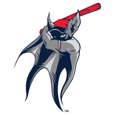 Chris Creamer  SportsLogos.Net on X: The Hartford Yard Goats are the next  team to release their Marvel's Defenders of the Diamond logo. #MiLBxMarvel  #YardGoats #MiLB #Marvel Details on the program here