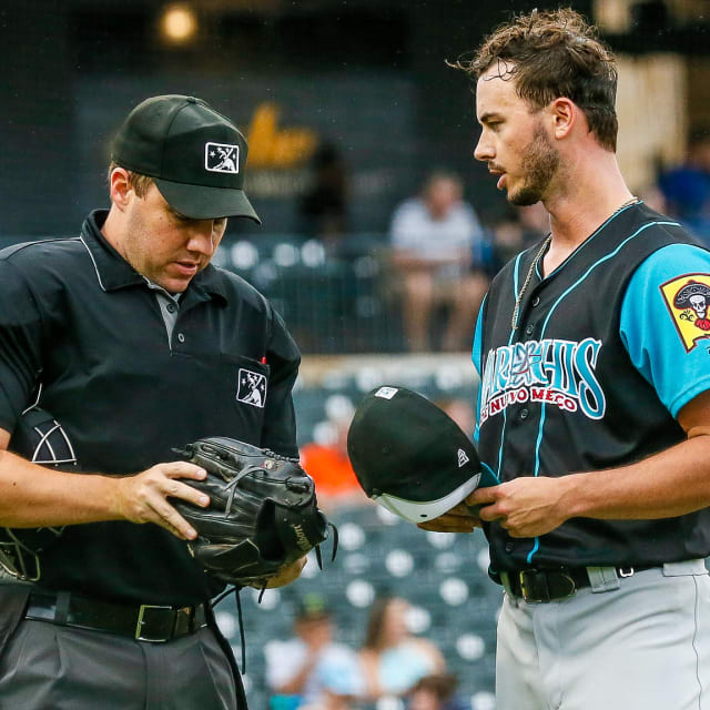 Minor League Baseball umpires