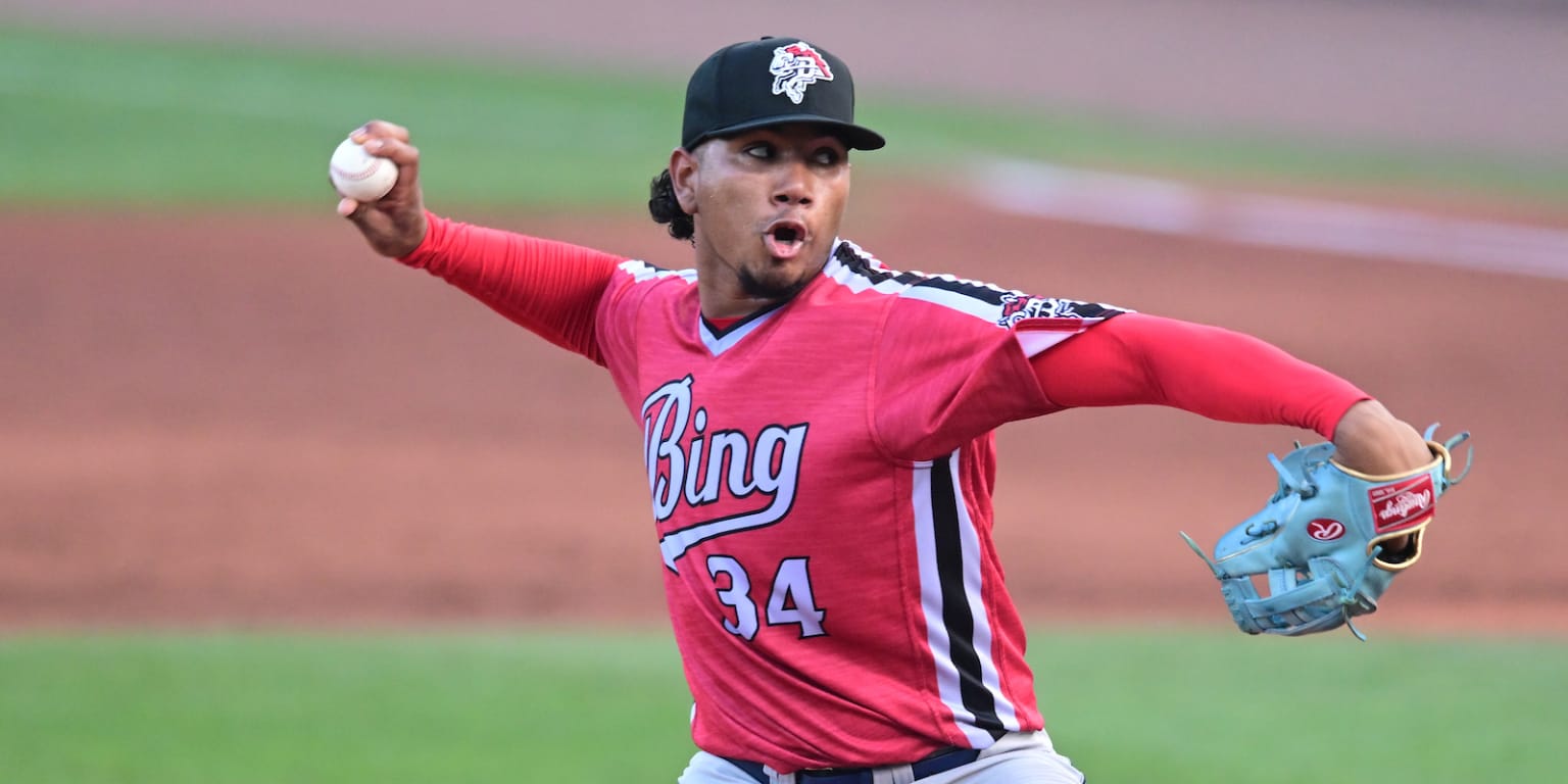 Ain't no birthday party like a - Binghamton Rumble Ponies