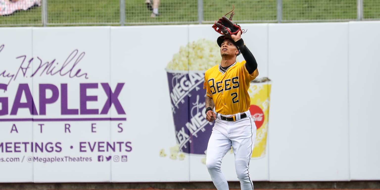 Uniform History Of Salt Lake Bees, Minor League Baseball Clubs In Salt Lake  City