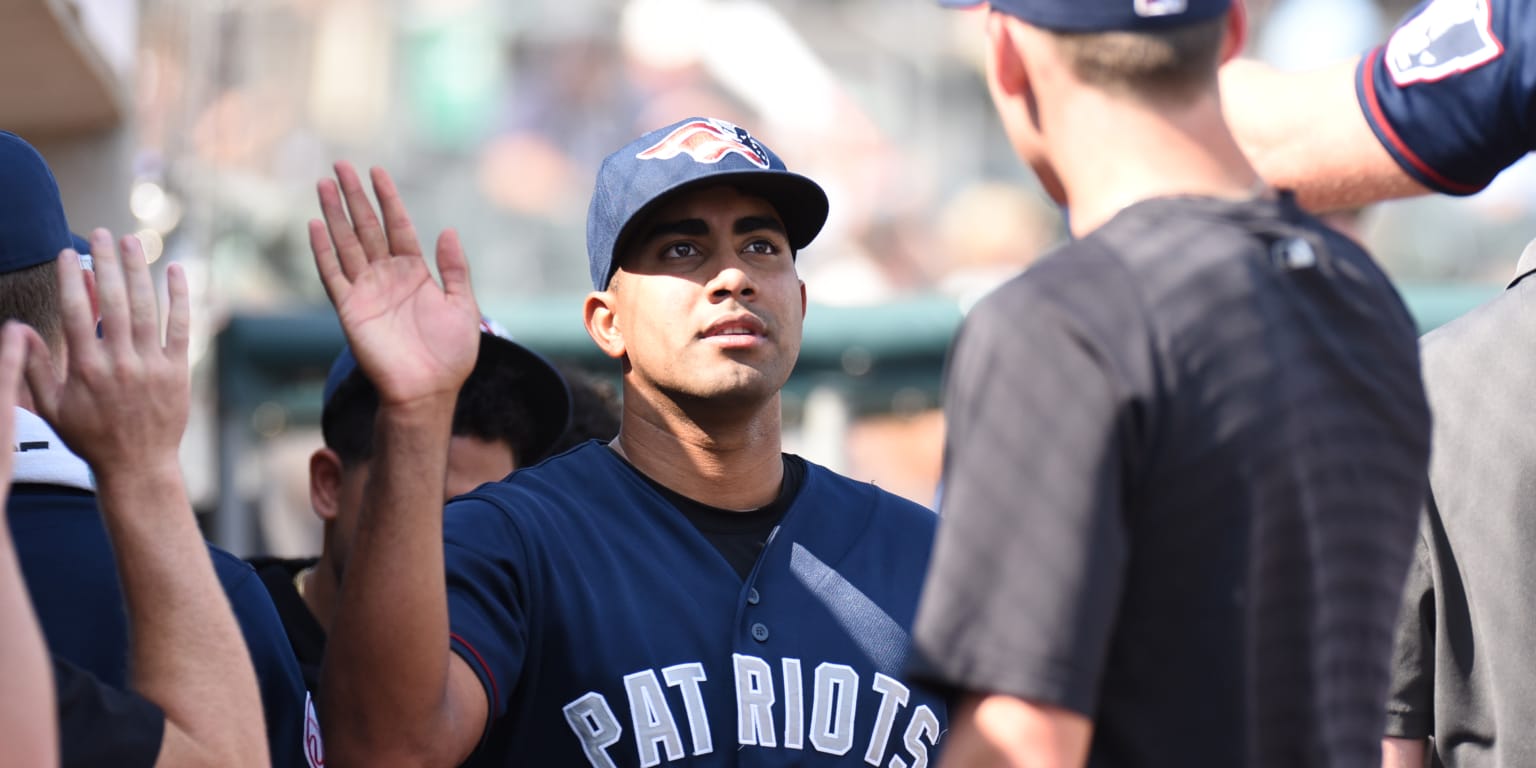 Somerset Patriots Baseball - Yankees No. 12 prospect RHP Yoendrys