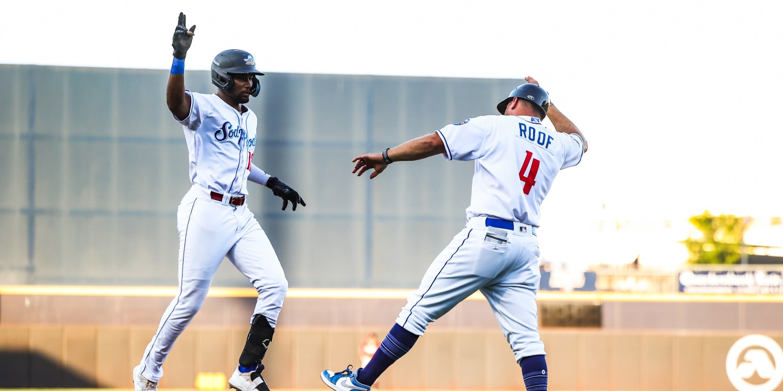 From Sod Poodles to Nuts, we picked the best mascot in MiLB - The