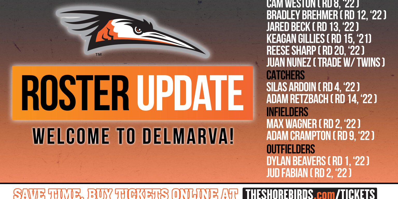 Delmarva Shorebirds - THIS JUST IN: The Shorebirds 2022 Card Set