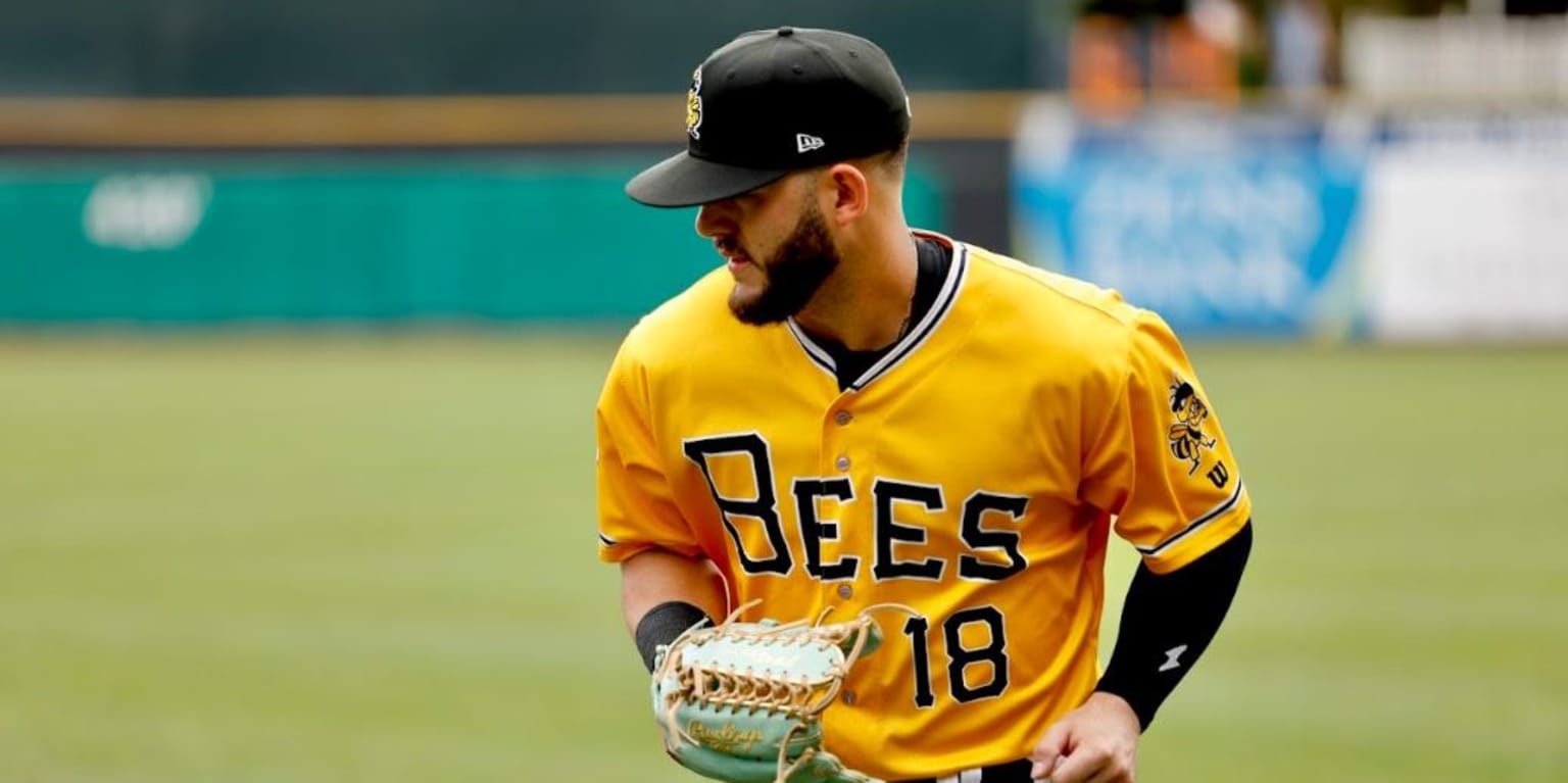 Bees Drop Series to River Cats
