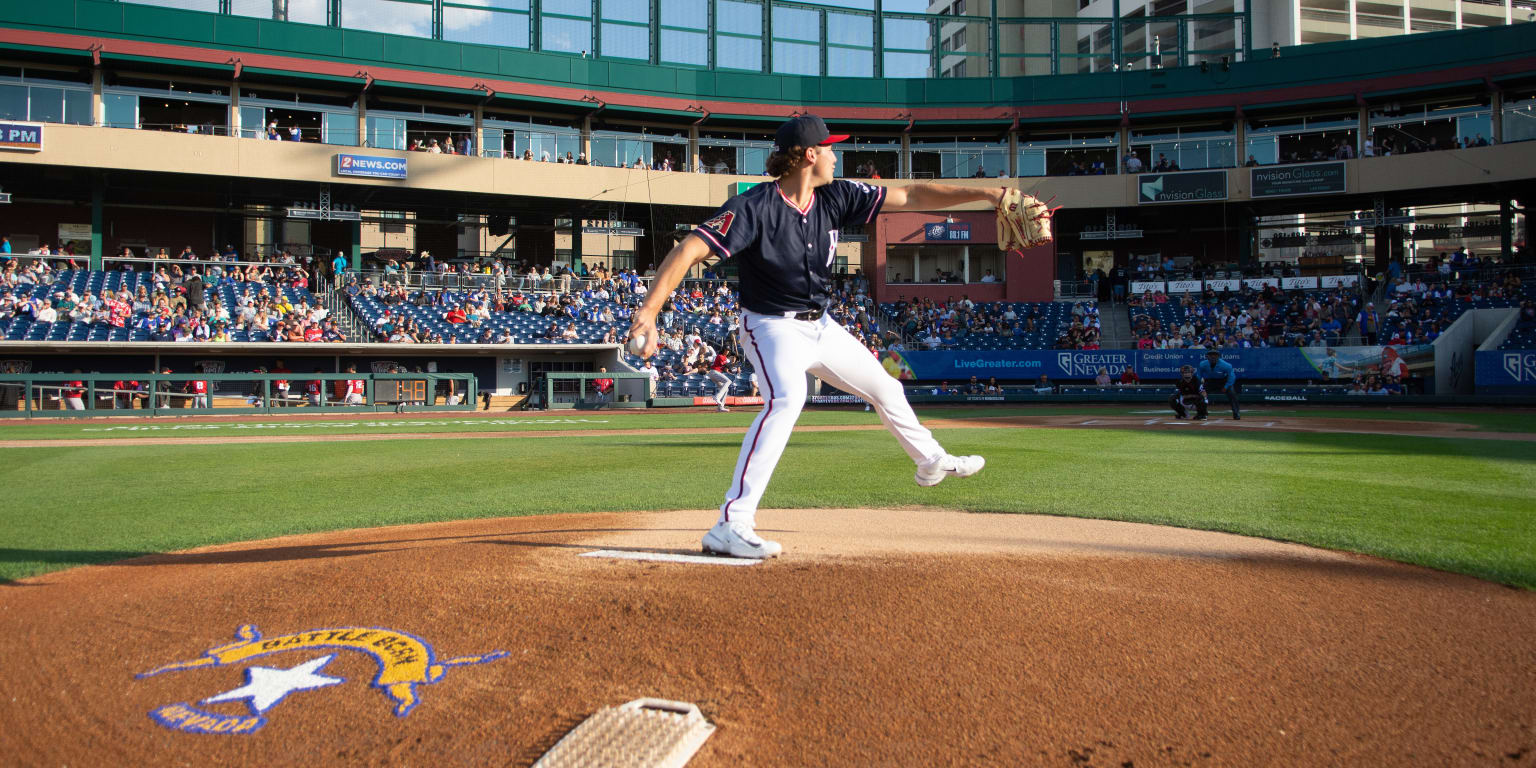 Archie, Reno Aces Baseball Game, and fans (Fourth of July) Reno