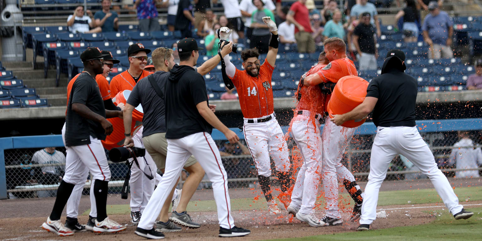 Norfolk Tides vs. Charlotte Knights, Harbor Park, Norfolk, August 3 2023