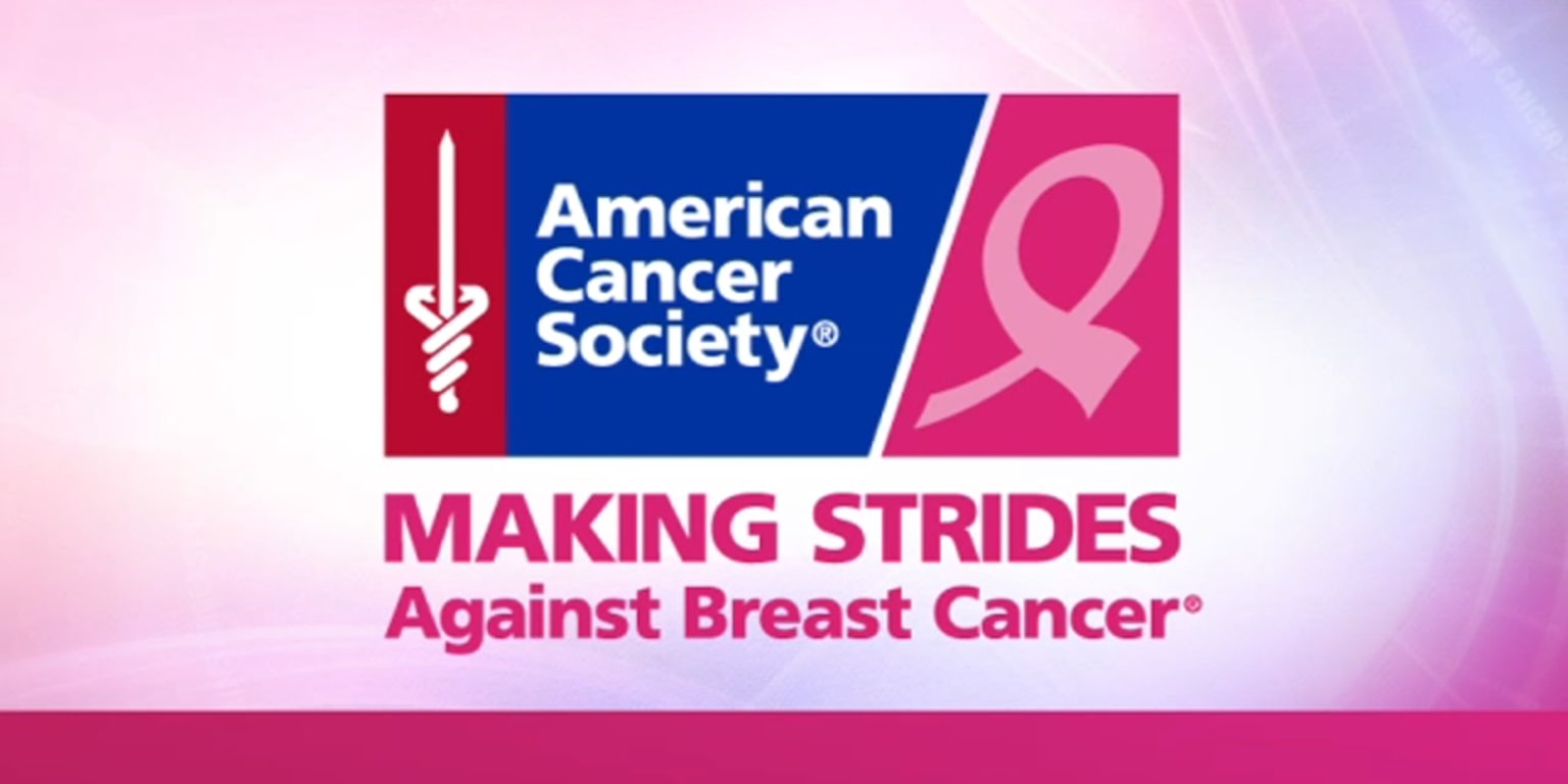 Come Support Making Strides against Breast Cancer on October 23rd at Fluor  Field! | Drive