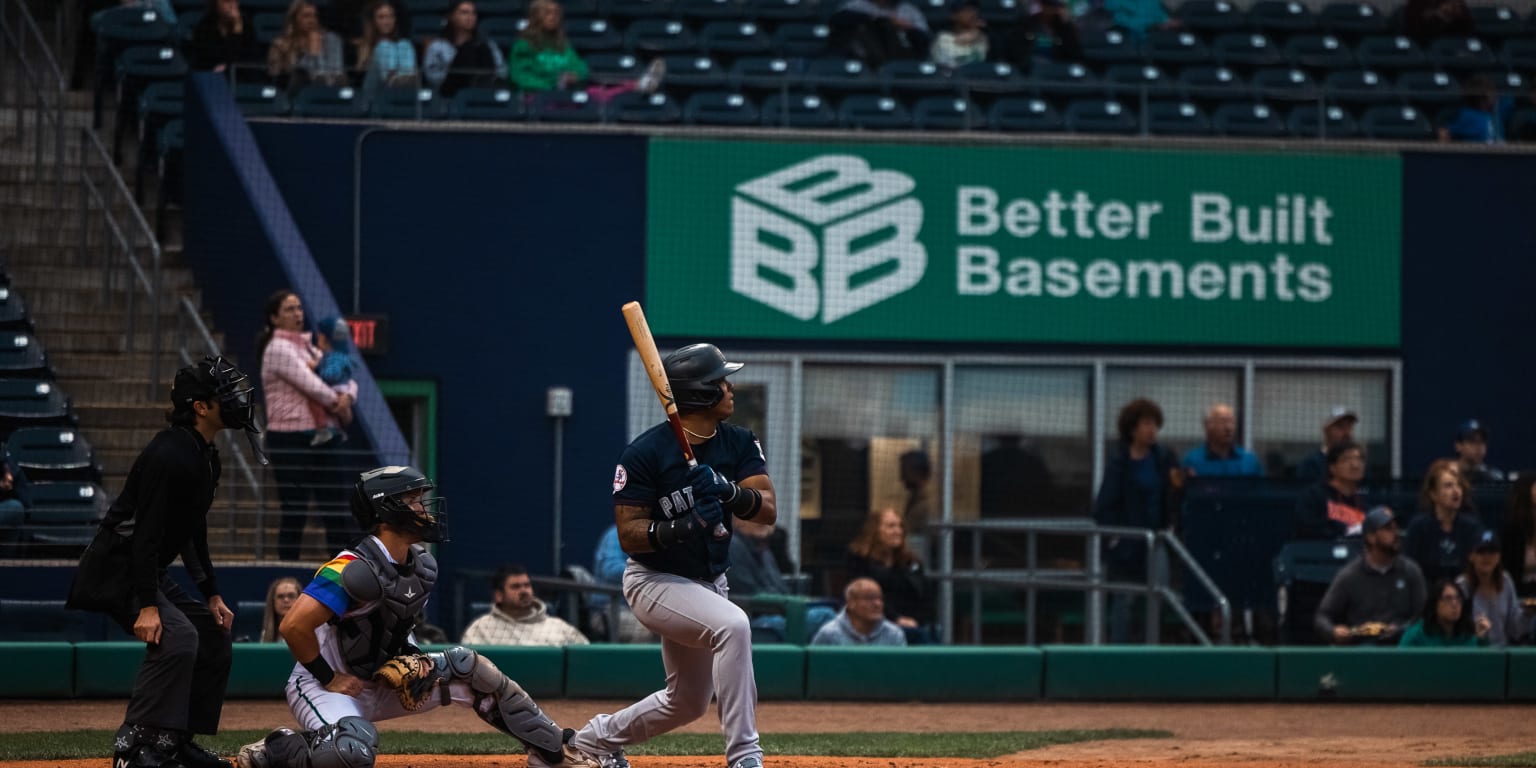 Hartford Somerset MiLB Baseball