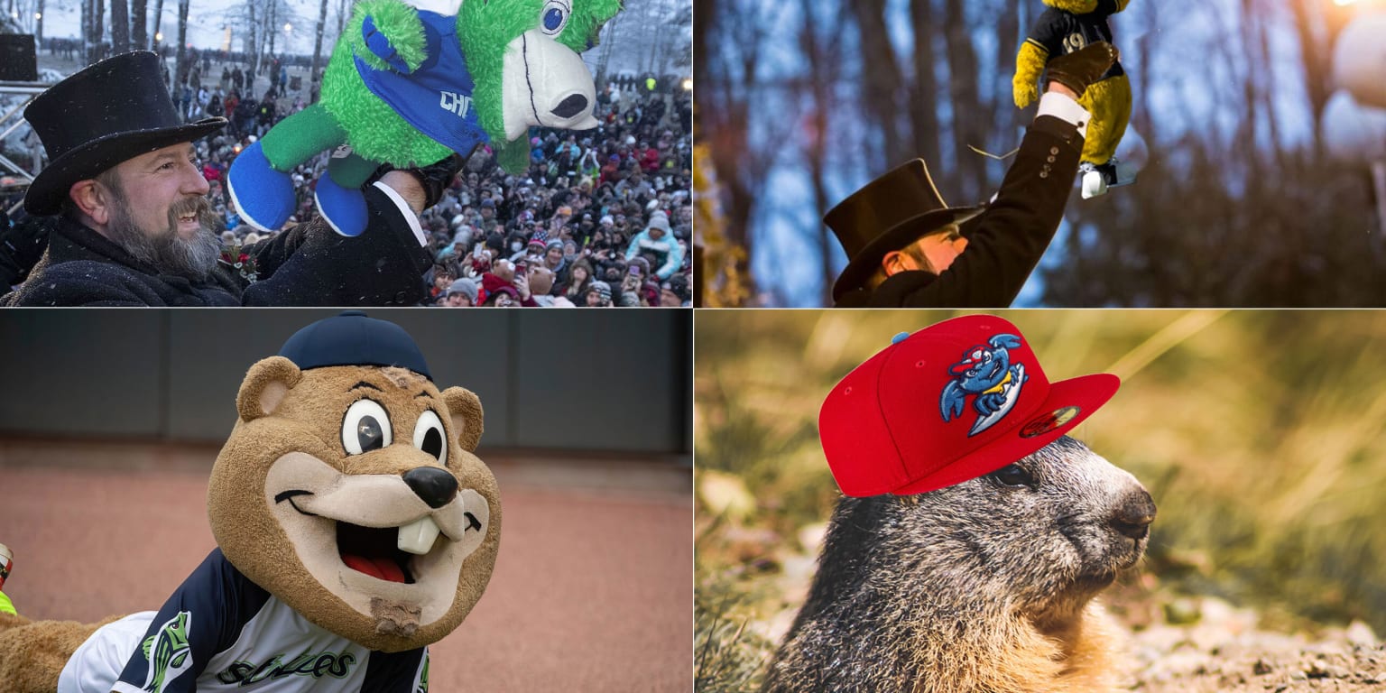 Chopper the Groundhog, Gwinnett Braves mascot; AAA International League