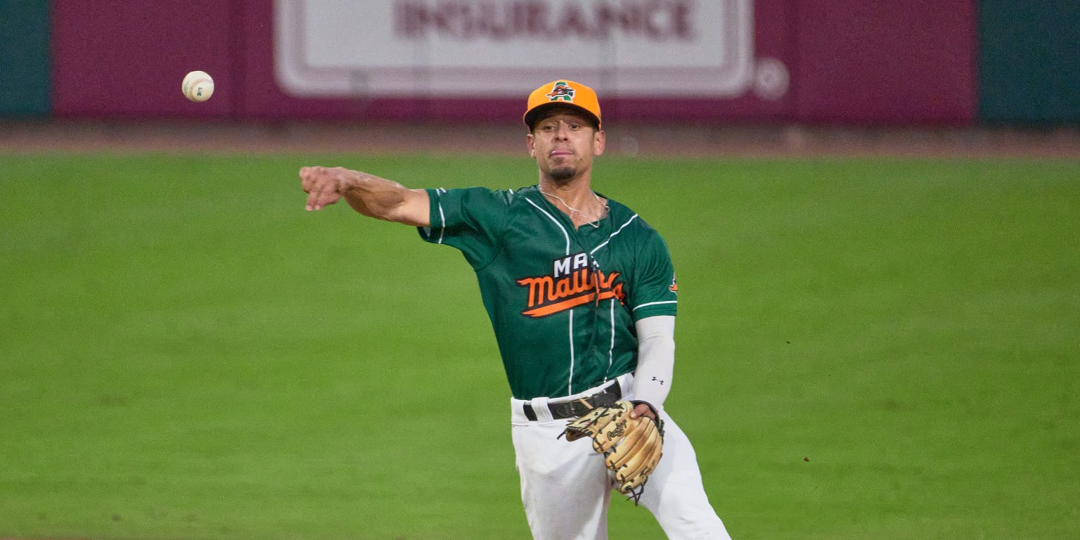 Miami Hurricanes 2021 Baseball Season Preview 