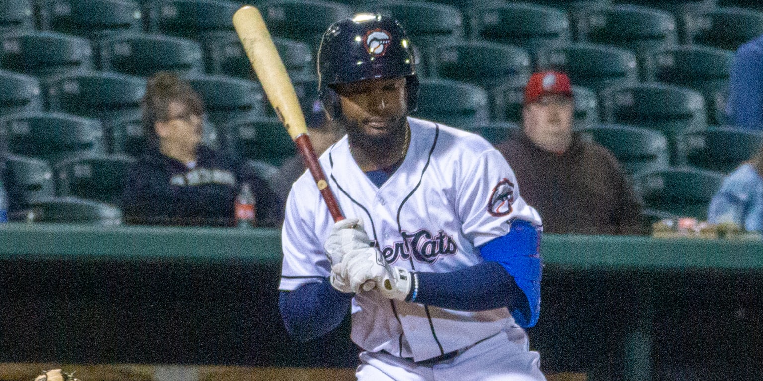 Orelvis Martinez sets New Hampshire homer record - Vimarsana News