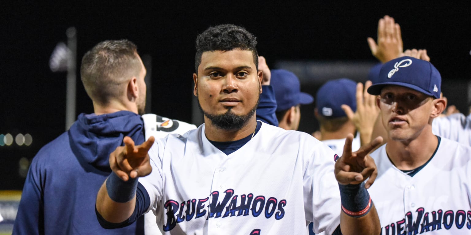 Blue Wahoos 2025 MLB Playoffs | MiLB.com